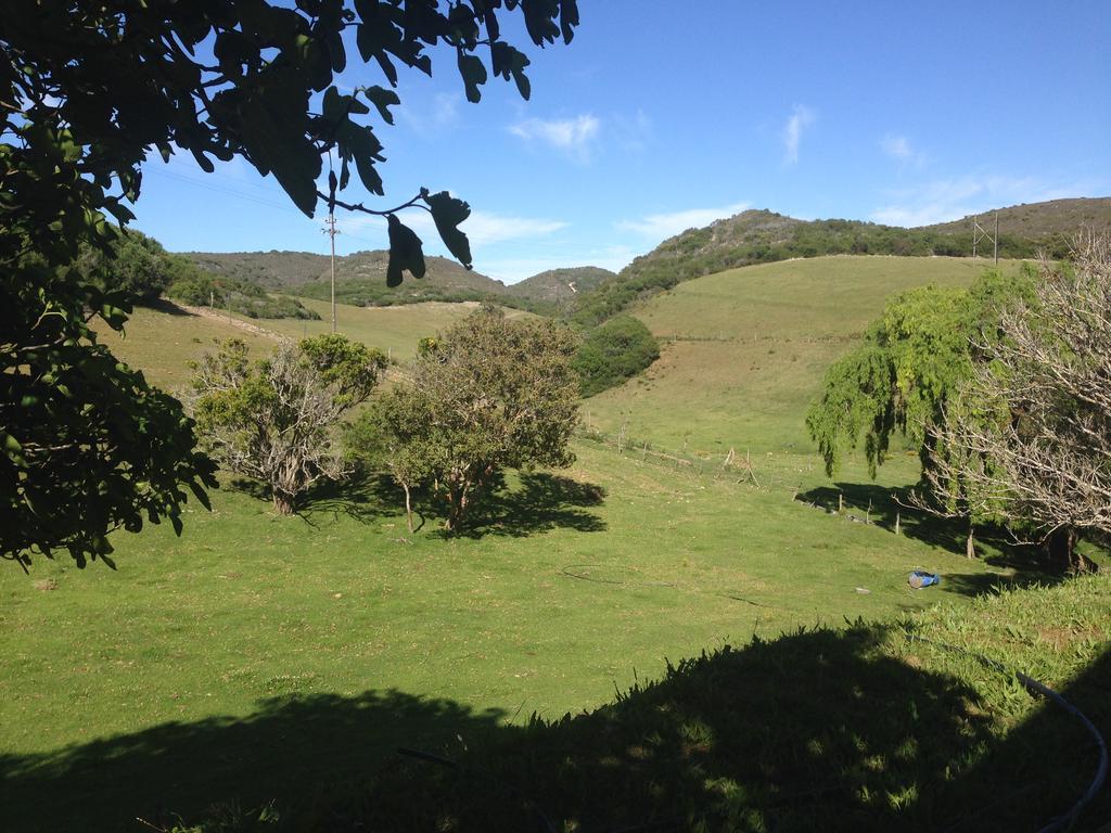 Apartmán Waterryk Eco Guest Farm Stilbaai Exteriér fotografie