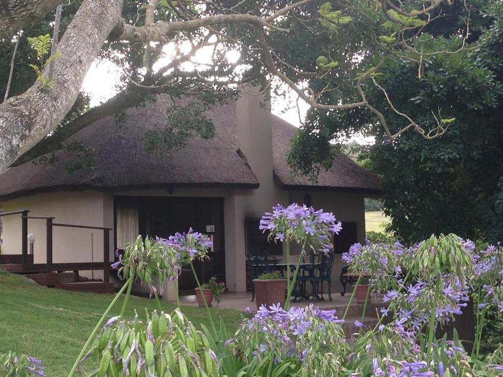 Apartmán Waterryk Eco Guest Farm Stilbaai Exteriér fotografie